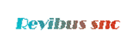 REVIBUS