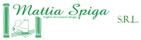MATTIA SPIGA SRL <br />
Lucidatura Pavimenti