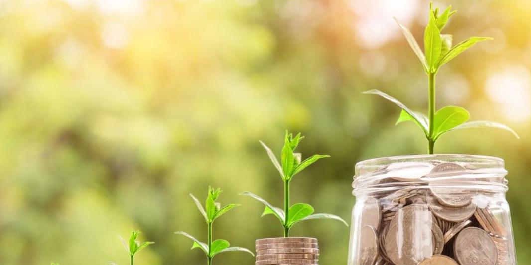 Credito di imposta investimenti ZES - il modello di comunicazione